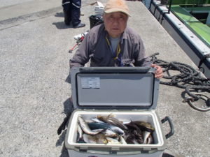 マアジ・イサキ