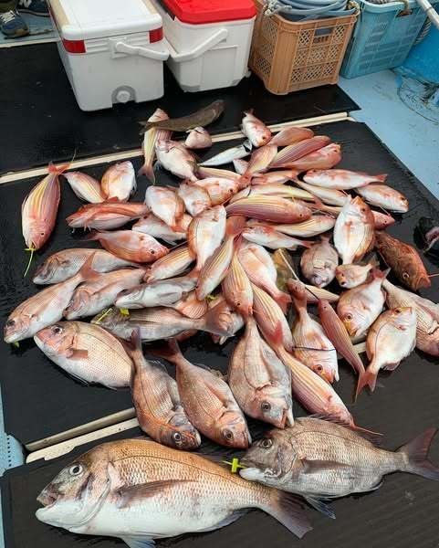 マダイ・レンコ(キダイ)・イトヨリ(イトヨリダイ)・アラカブ(カサゴ)