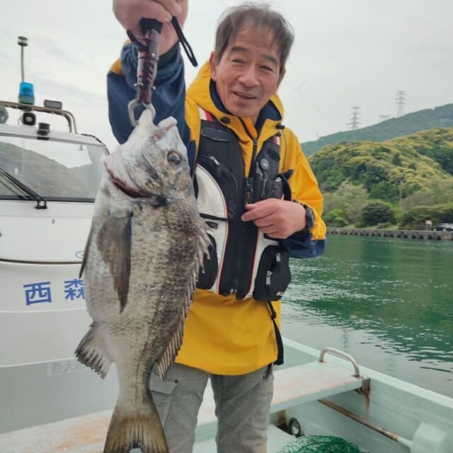 チヌ(クロダイ)