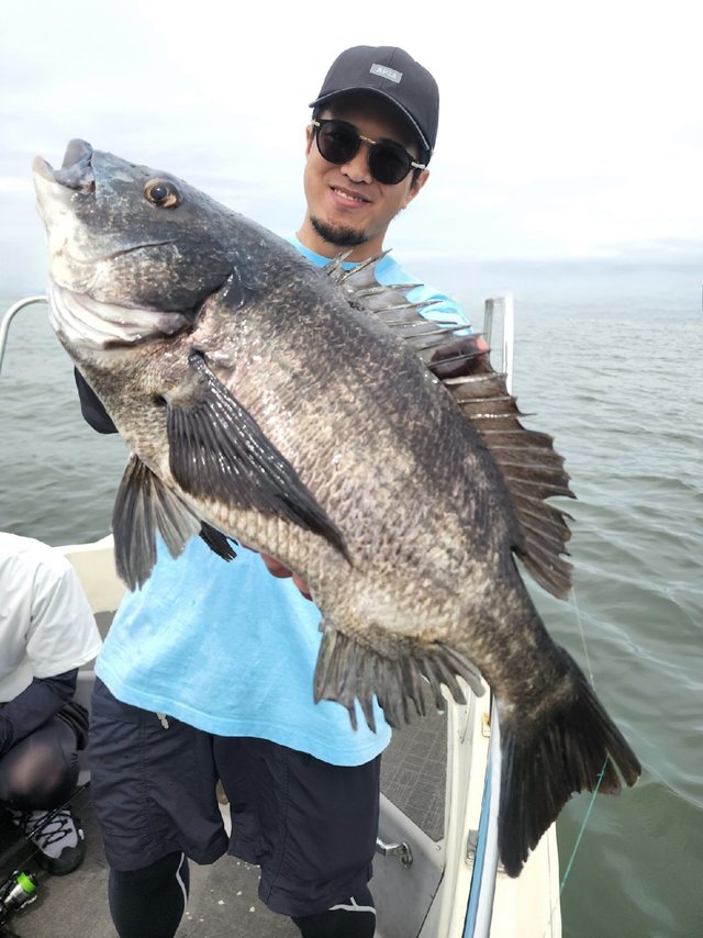 チヌ(クロダイ)