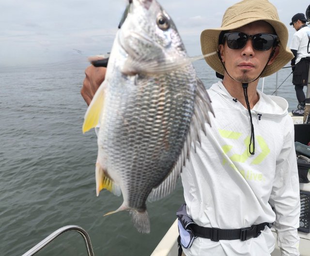 キビレ(キチヌ)