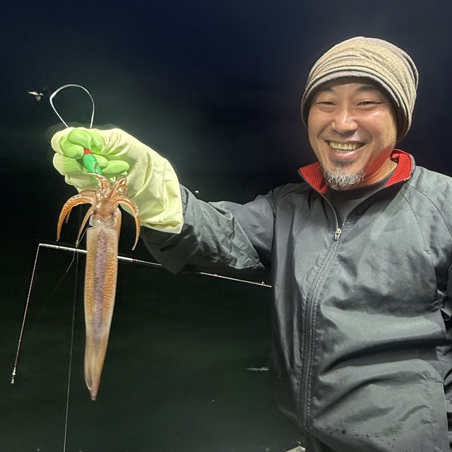 ムギイカ(スルメイカ)