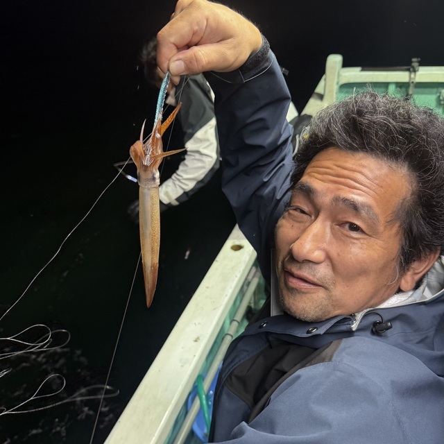 ムギイカ(スルメイカ)