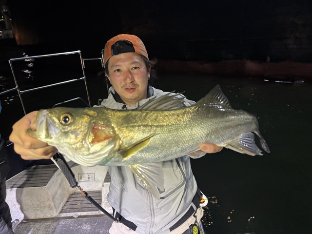 シーバス(スズキ)