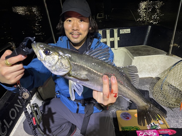 シーバス(スズキ)