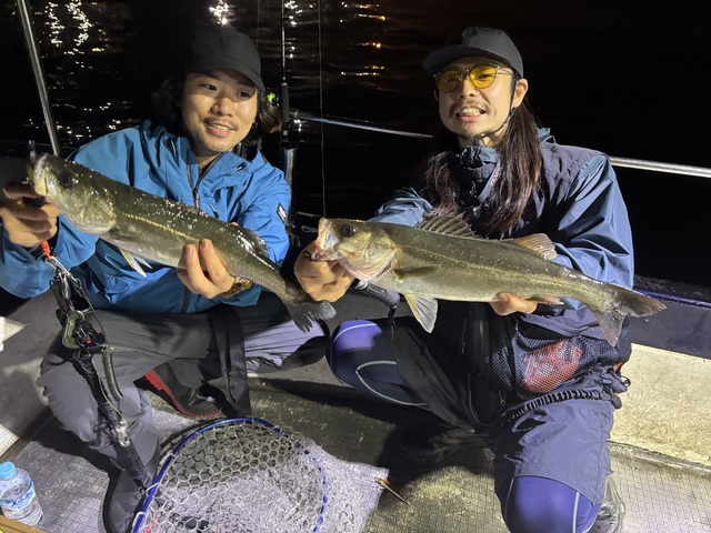 シーバス(スズキ)