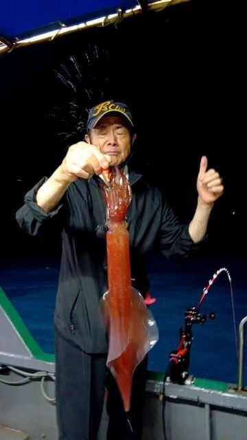 イカ(ヤリイカ)