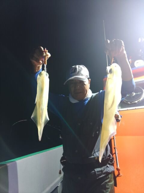 イカ(ヤリイカ)