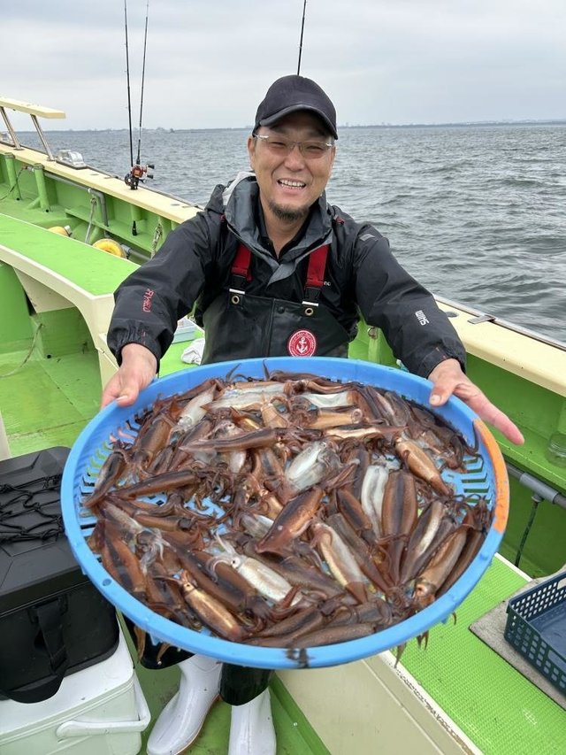 ムギイカ(スルメイカ)