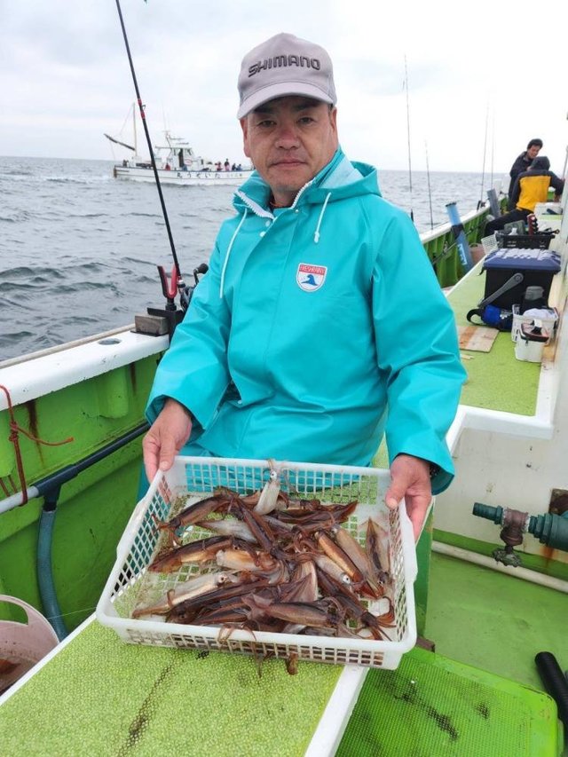 ムギイカ(スルメイカ)