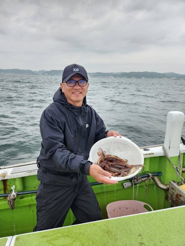 ムギイカ(スルメイカ)