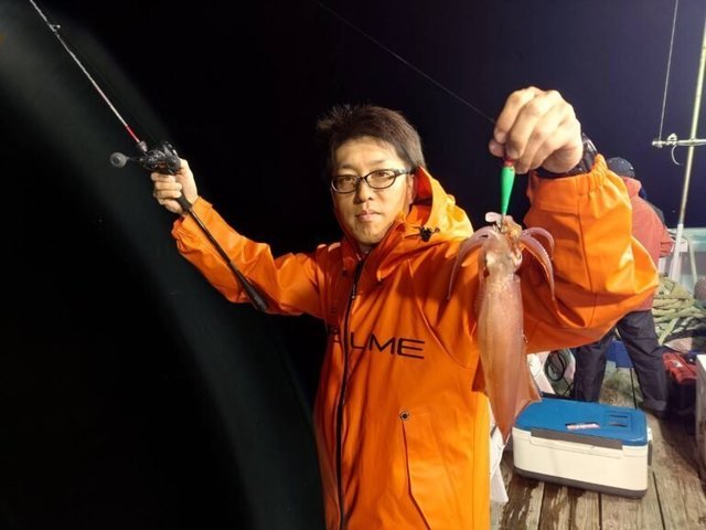 マイカ(ケンサキイカ)