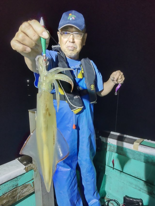 シロイカ(ケンサキイカ)