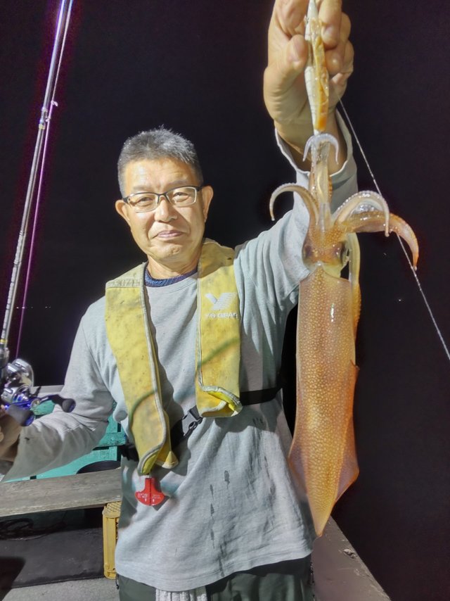 シロイカ(ケンサキイカ)