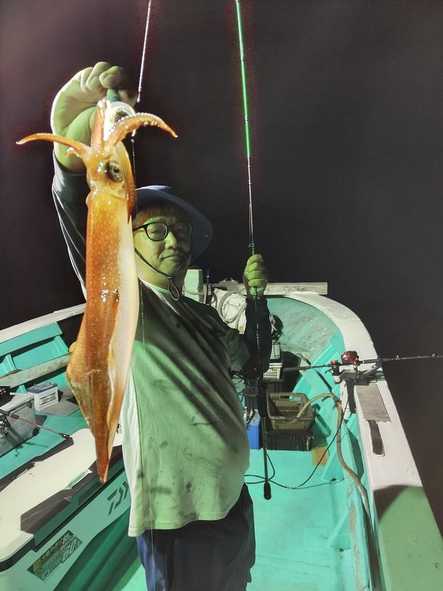 シロイカ(ケンサキイカ)