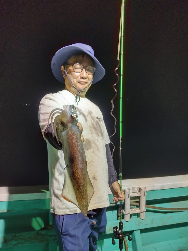 シロイカ(ケンサキイカ)