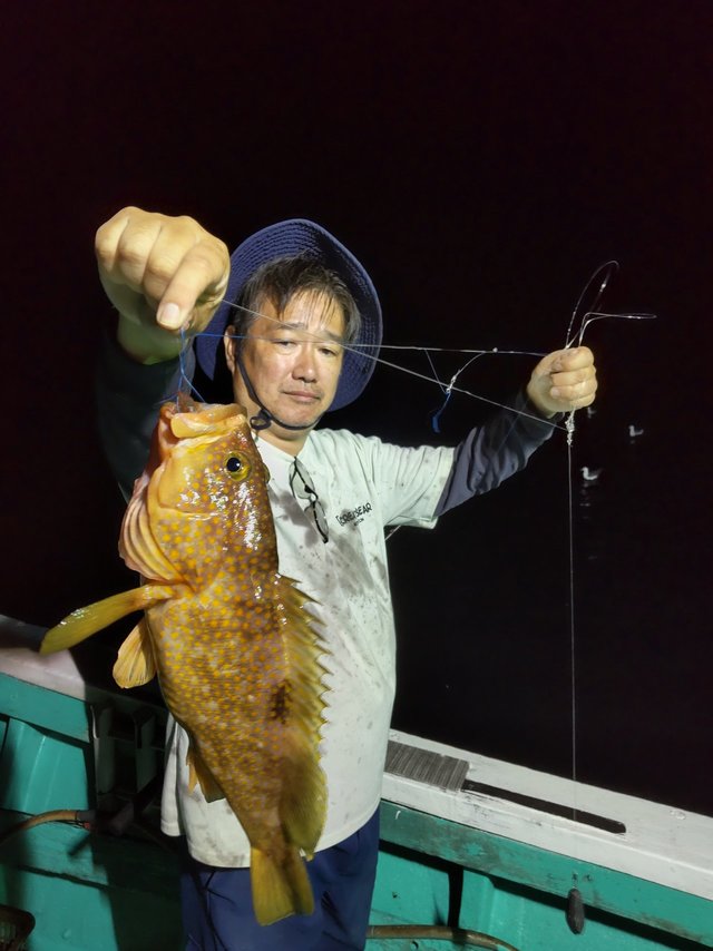 アコウ(キジハタ)