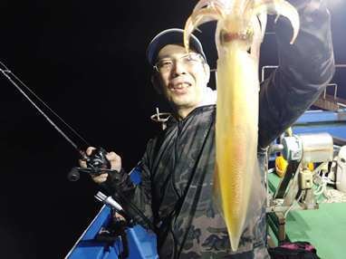 マイカ(ケンサキイカ)