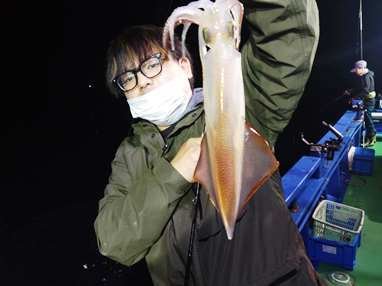 マイカ(ケンサキイカ)