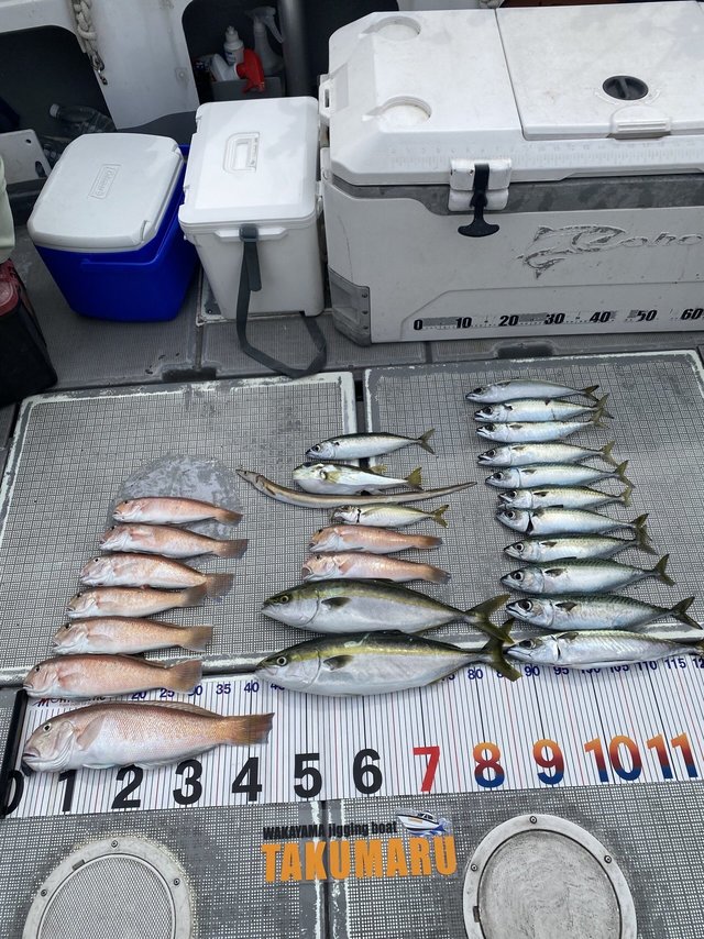 アジ(マアジ)・ハマチ(ブリ)・アマダイ(アカアマダイ)・ハモ・サバ(ゴマサバ)