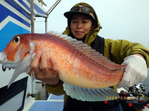 アマダイ(アカアマダイ)