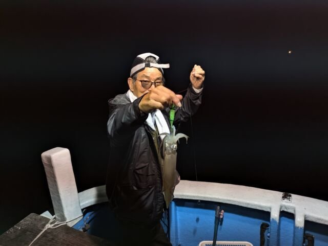 マイカ(ケンサキイカ)