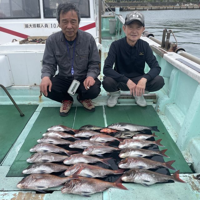 マダイ・ヒラセイゴ(ヒラスズキ)