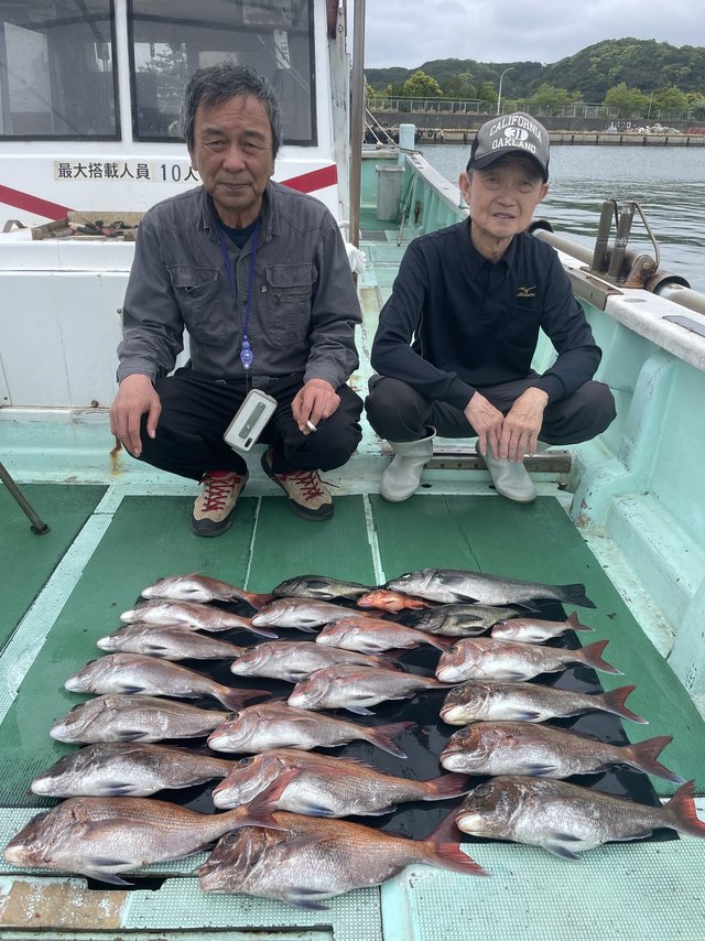 マダイ・ヒラセイゴ(ヒラスズキ)