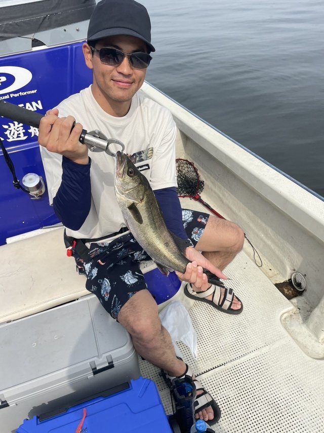 シーバス(スズキ)