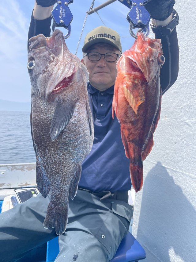 カサゴ・マゾイ(キツネメバル)