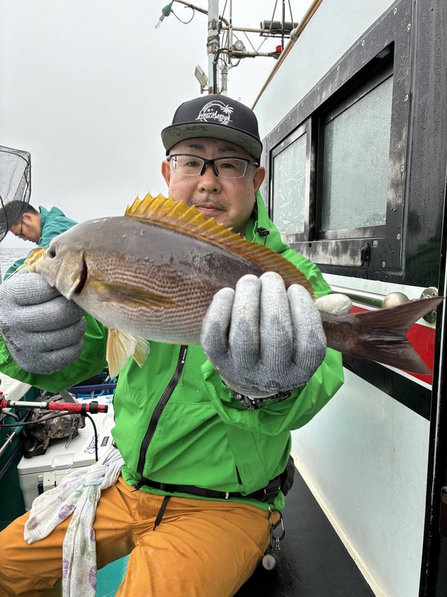 イサギ(イサキ)