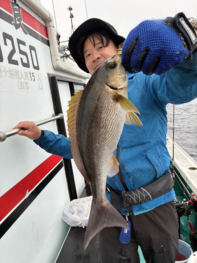 イサギ(イサキ)