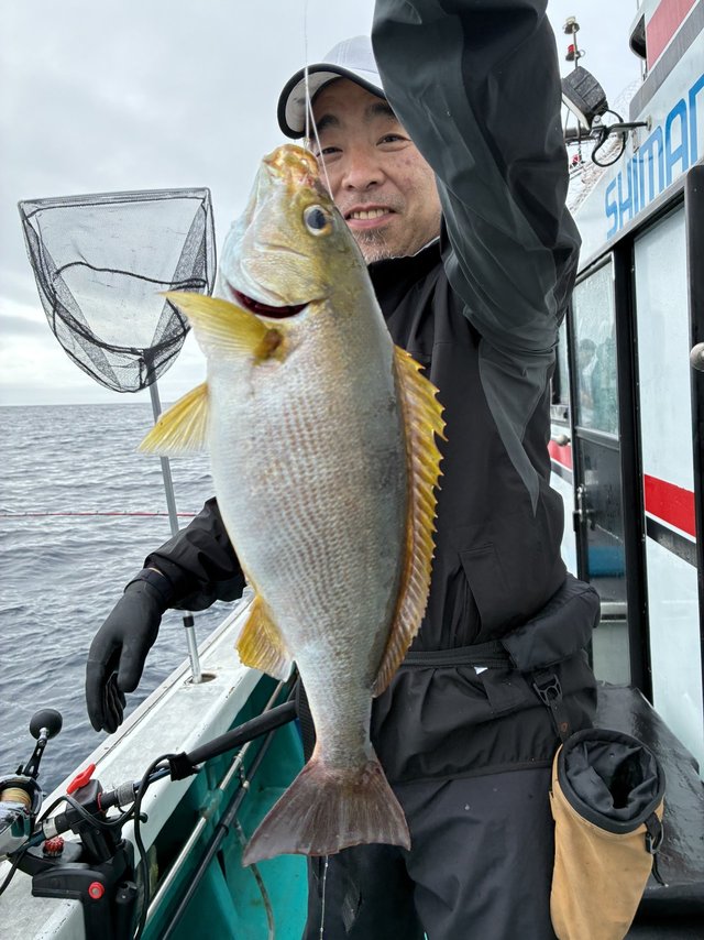 イサギ(イサキ)