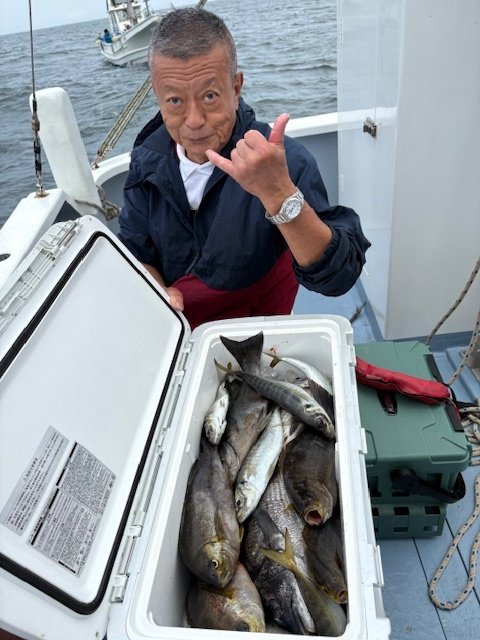 クロダイ・メジナ・アジ(マアジ)・イサキ