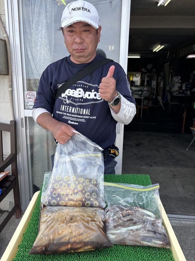 ムギイカ(スルメイカ)