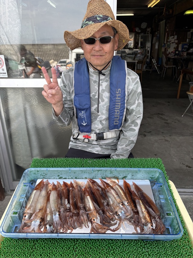 ムギイカ(スルメイカ)