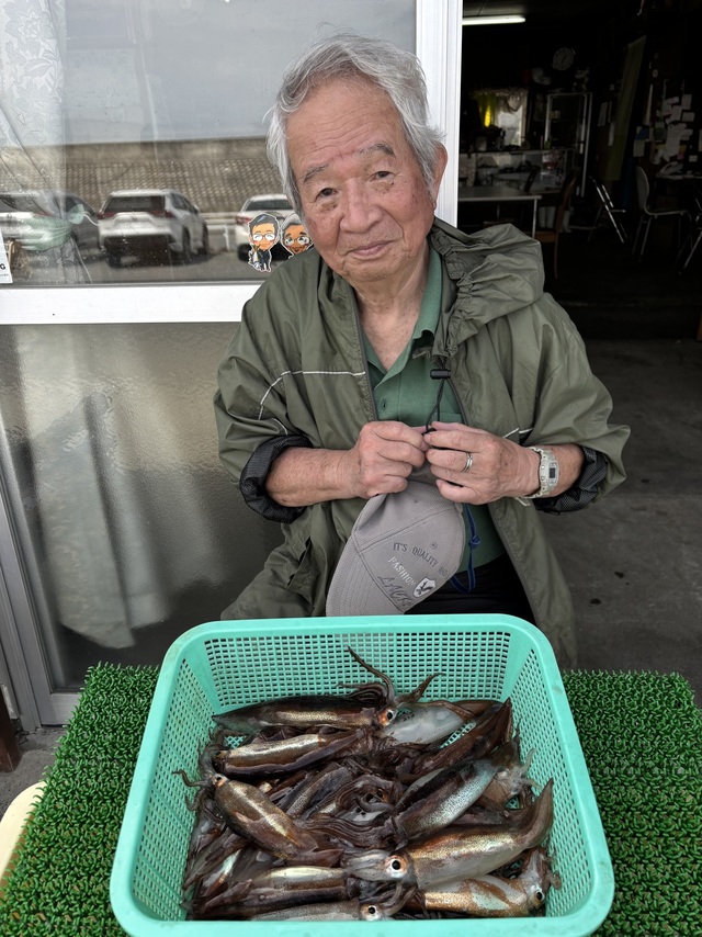 ムギイカ(スルメイカ)