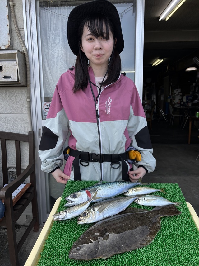 アジ(マアジ)・ヒラメ