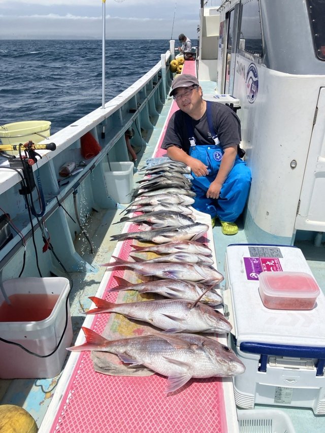 マダイ・クロダイ・メジナ