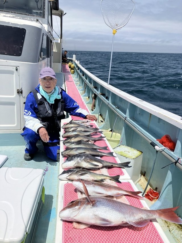 マダイ・クロダイ・メジナ