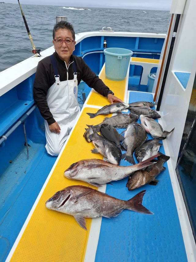 マダイ・クロダイ・メジナ