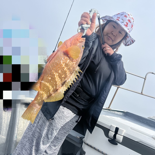 アコウ(キジハタ)