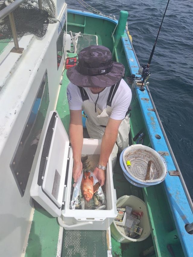 サバ(ゴマサバ)