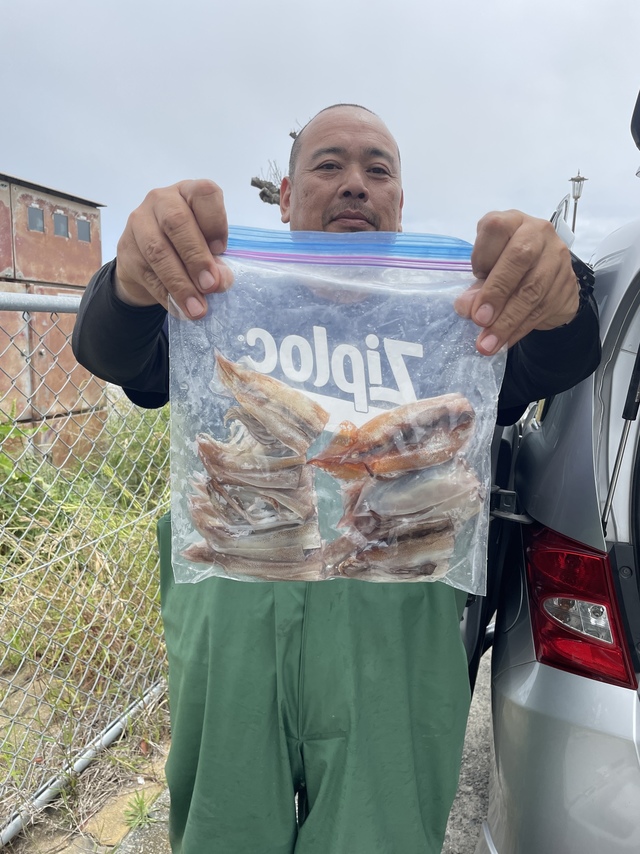 ムギイカ(スルメイカ)