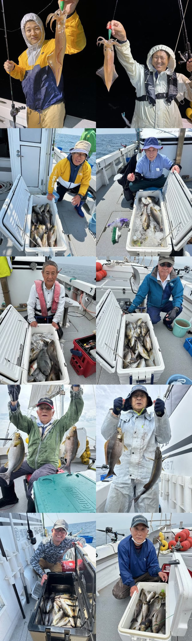 メジナ・イサキ・イカ(ヤリイカ)