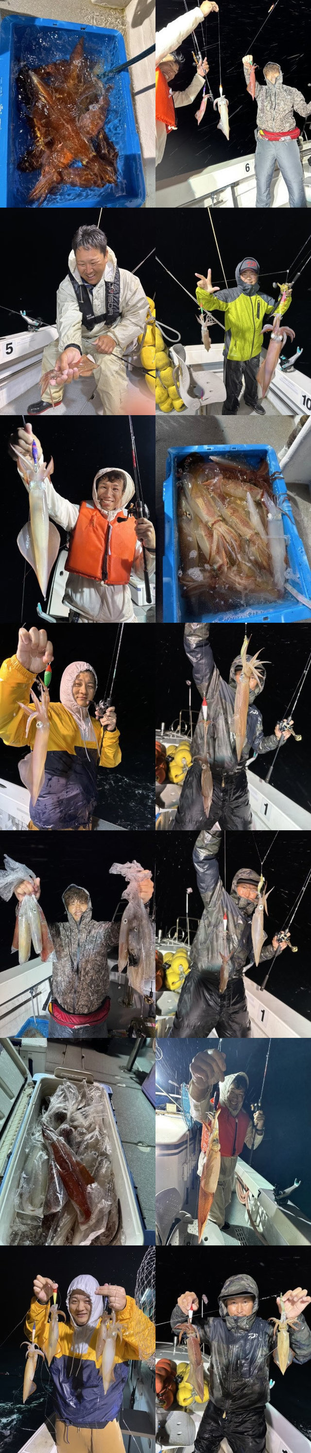 イカ(ヤリイカ)