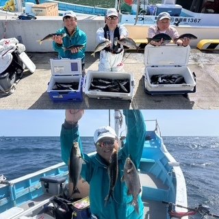 メジナ・マアジ・イサキ・サバ(マサバ)