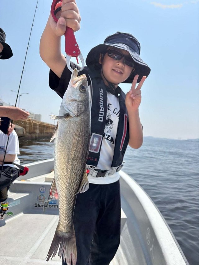 シーバス(スズキ)