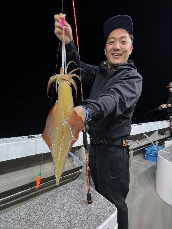 マイカ(ケンサキイカ)