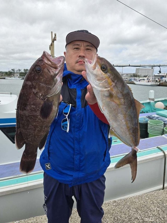 カンパチ・ハタ(マハタ)